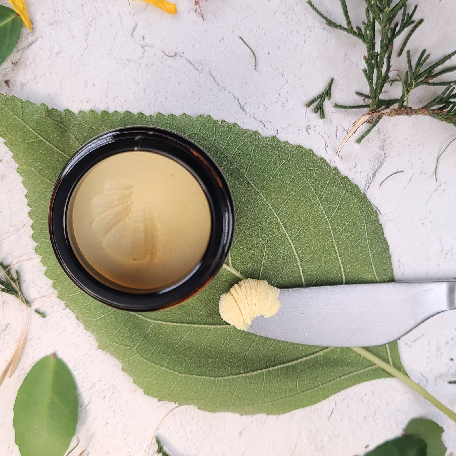 Antioxidant Solid Serum – Blinking Owl Acres