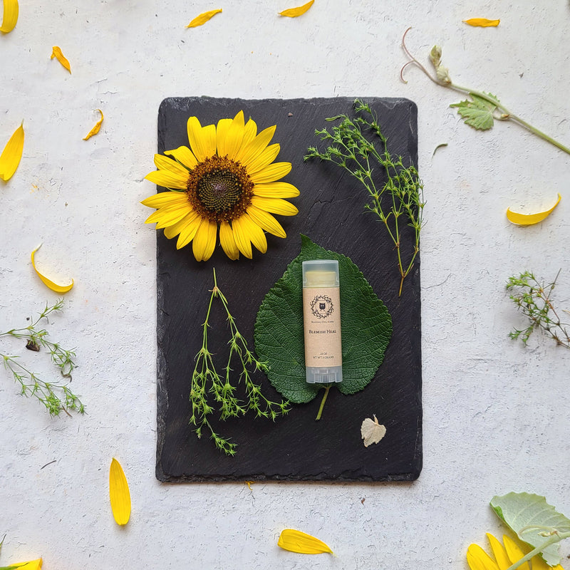 Blemish Heal natural acne and rash treatment stick with sunflower and botanical elements