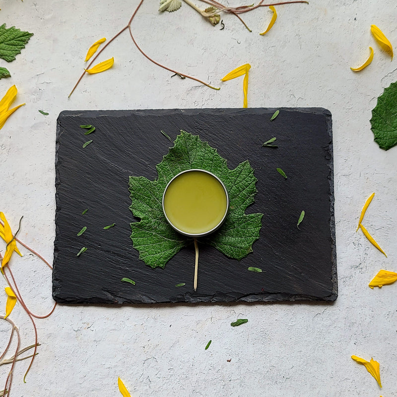 BooBoo Balm organic healing salve top view on grape leaf with scattered flower petals