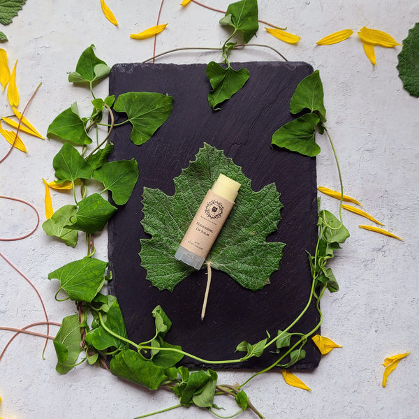 Open Nourishing Lip Balm tube with leaves and scattered flower petals